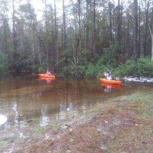 Meet your Posher, Marcia